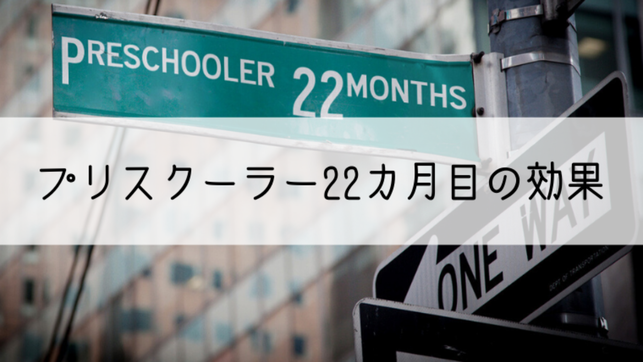パルキッズプリスクーラー22カ月目の効果｜親子で世界の扉を開く！